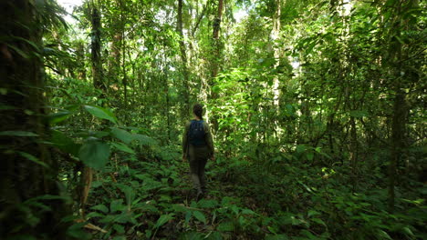 Mujer-Caminando-En-El-Bosque-Amazónico-De-La-Guayana-Francesa.-Hermoso-Camino-Entre-árboles